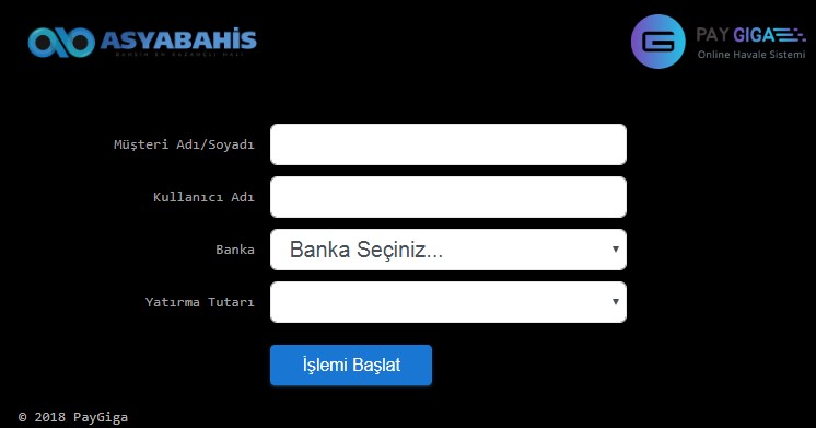 Paygiga Ödeme Sayfası